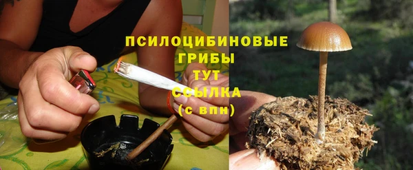 эйфоретик Мегион
