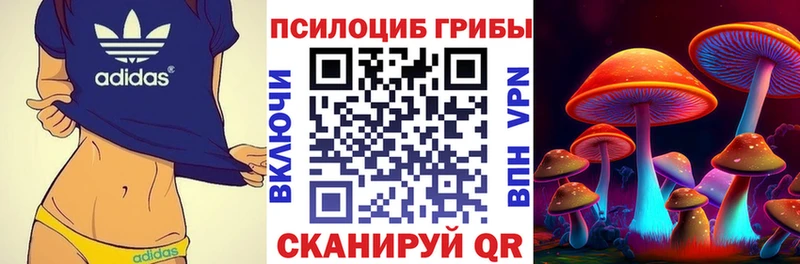 наркошоп Тбилисская Галлюциногенные грибы Psilocybe