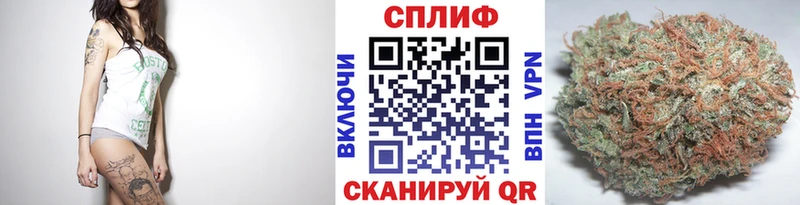 Каннабис конопля  закладка  кракен ссылки  Тбилисская 